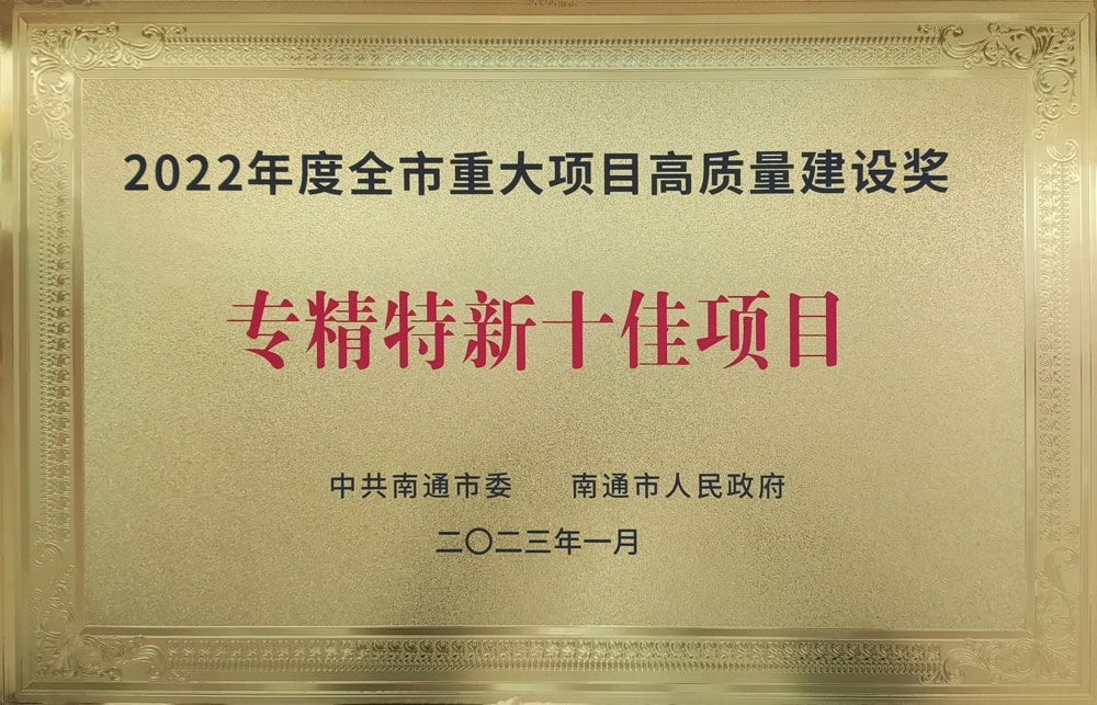 2022年度全市重大項(xiàng)目高質(zhì)量建設(shè)獎(jiǎng)
